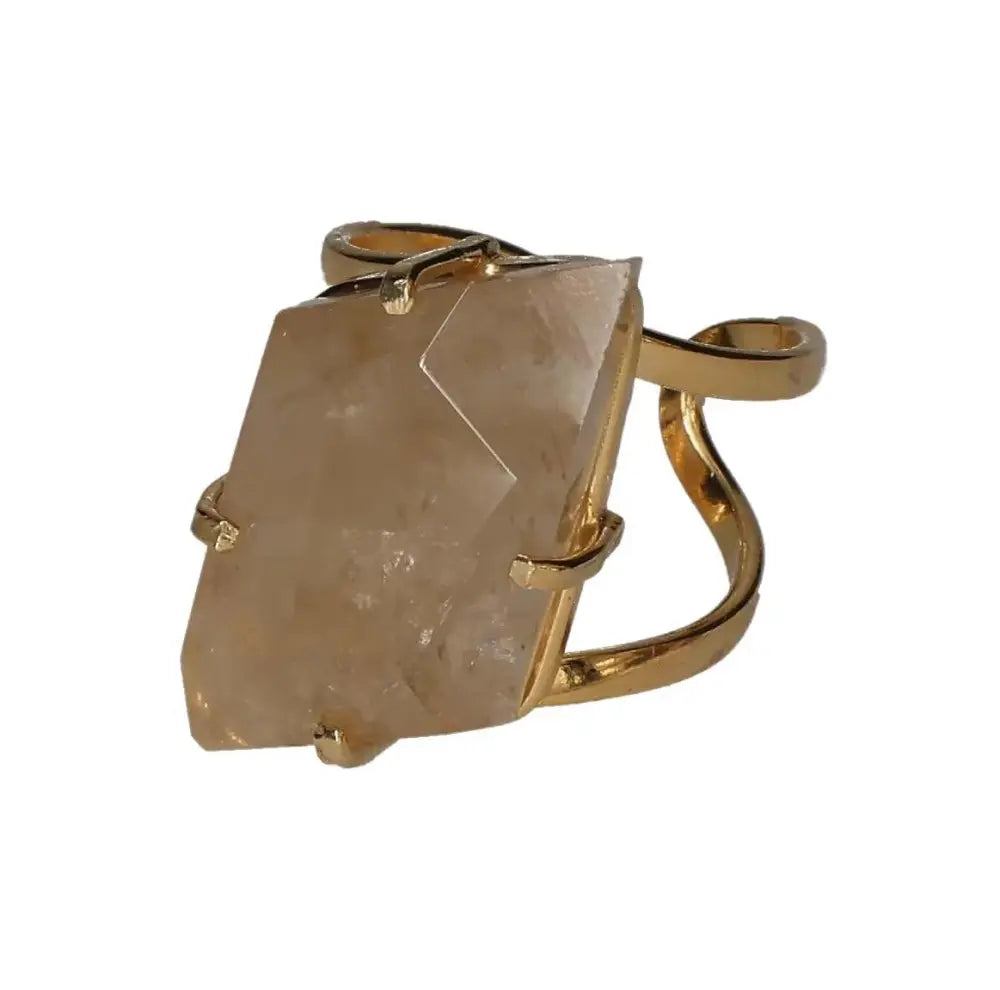 orbitvu|type:image2d