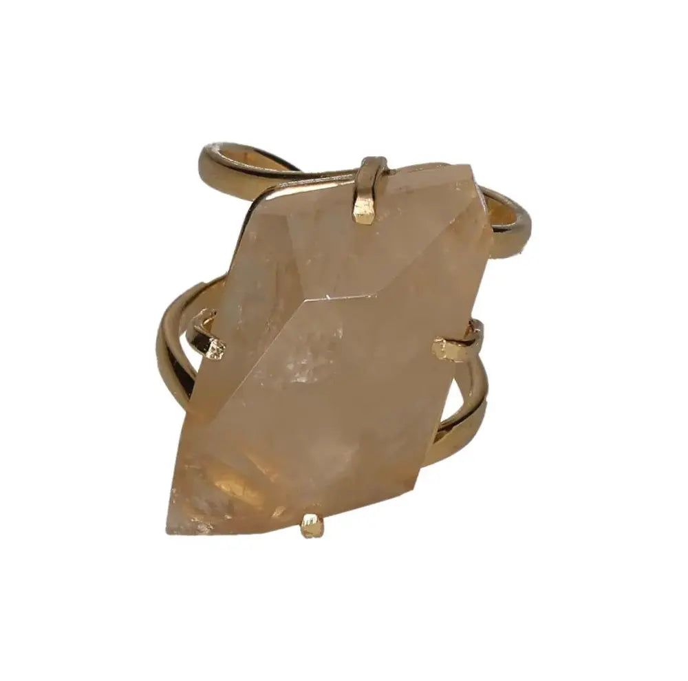 orbitvu|type:image2d