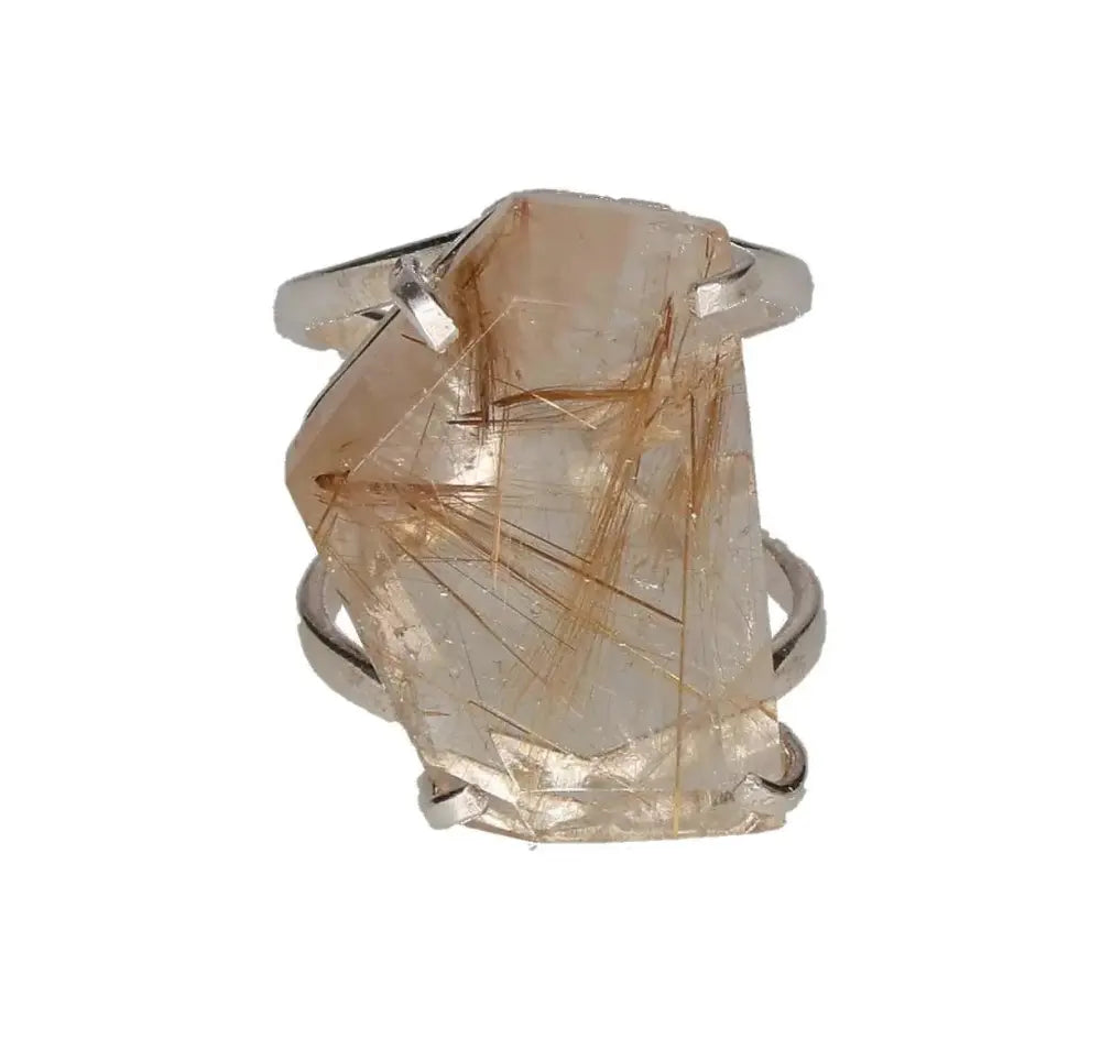 orbitvu|type:image2d