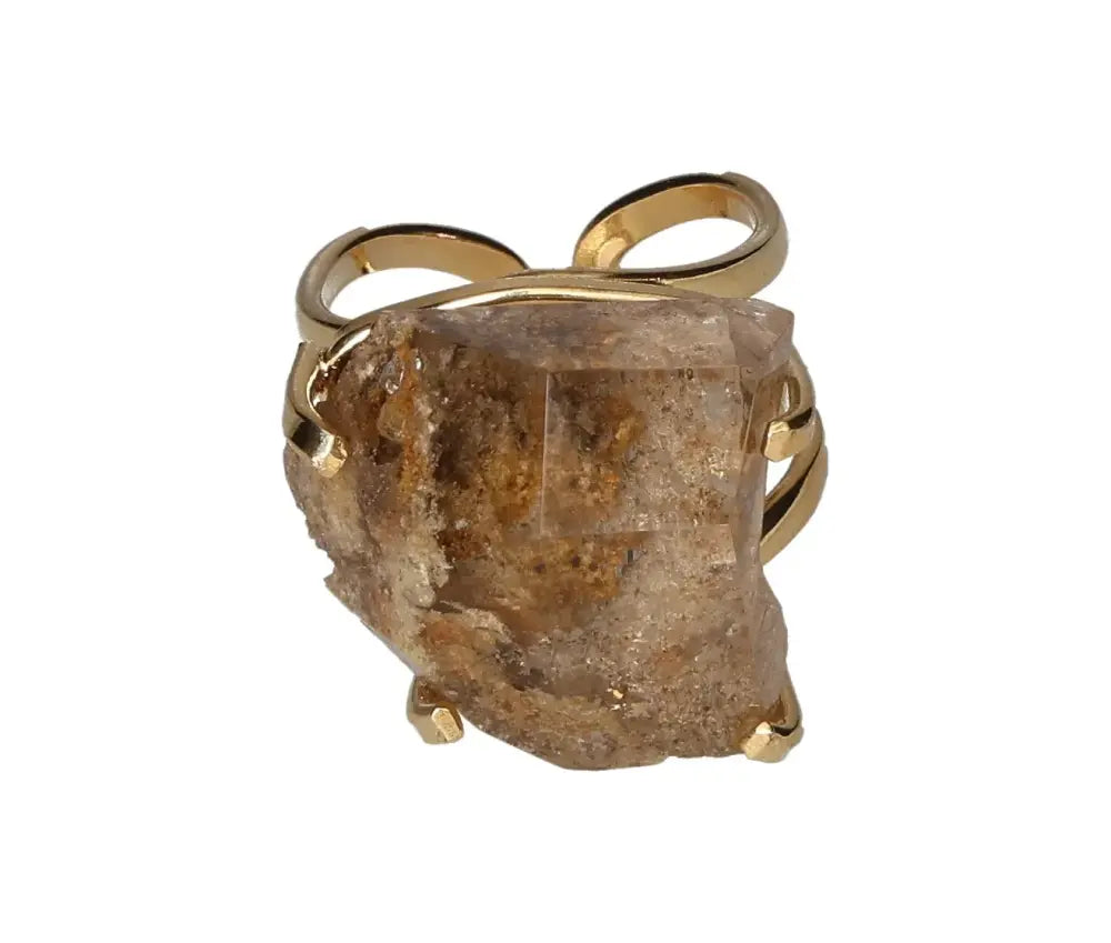 orbitvu|type:image2d