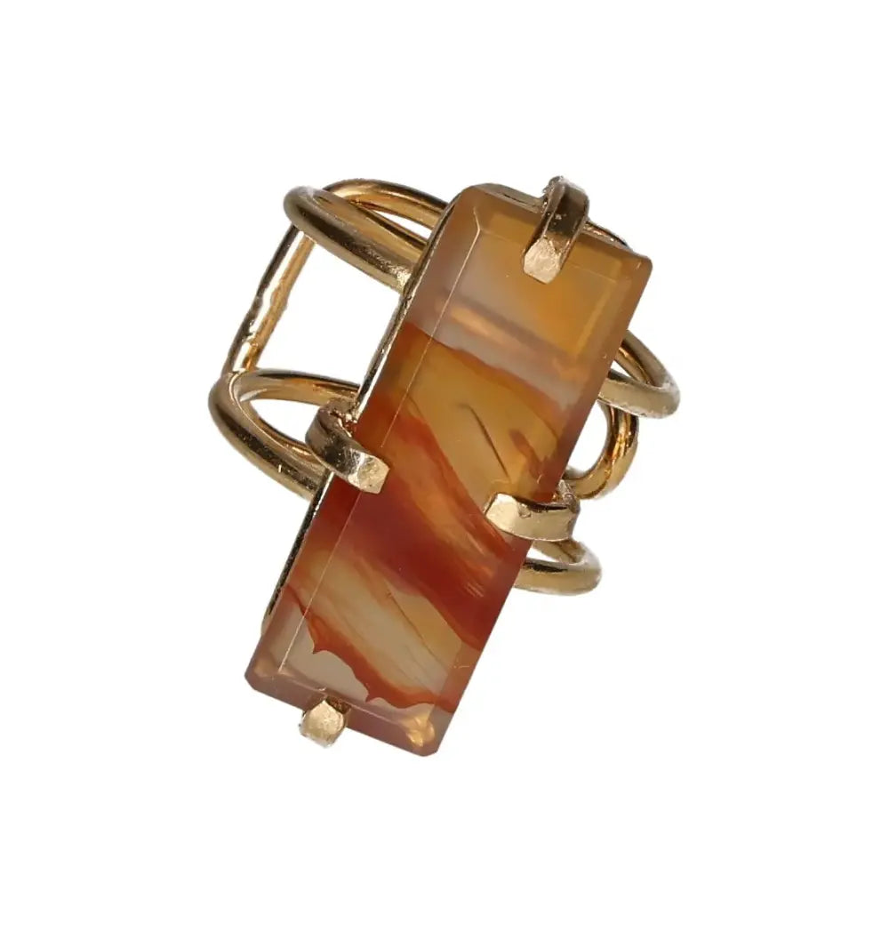 orbitvu|type:image2d