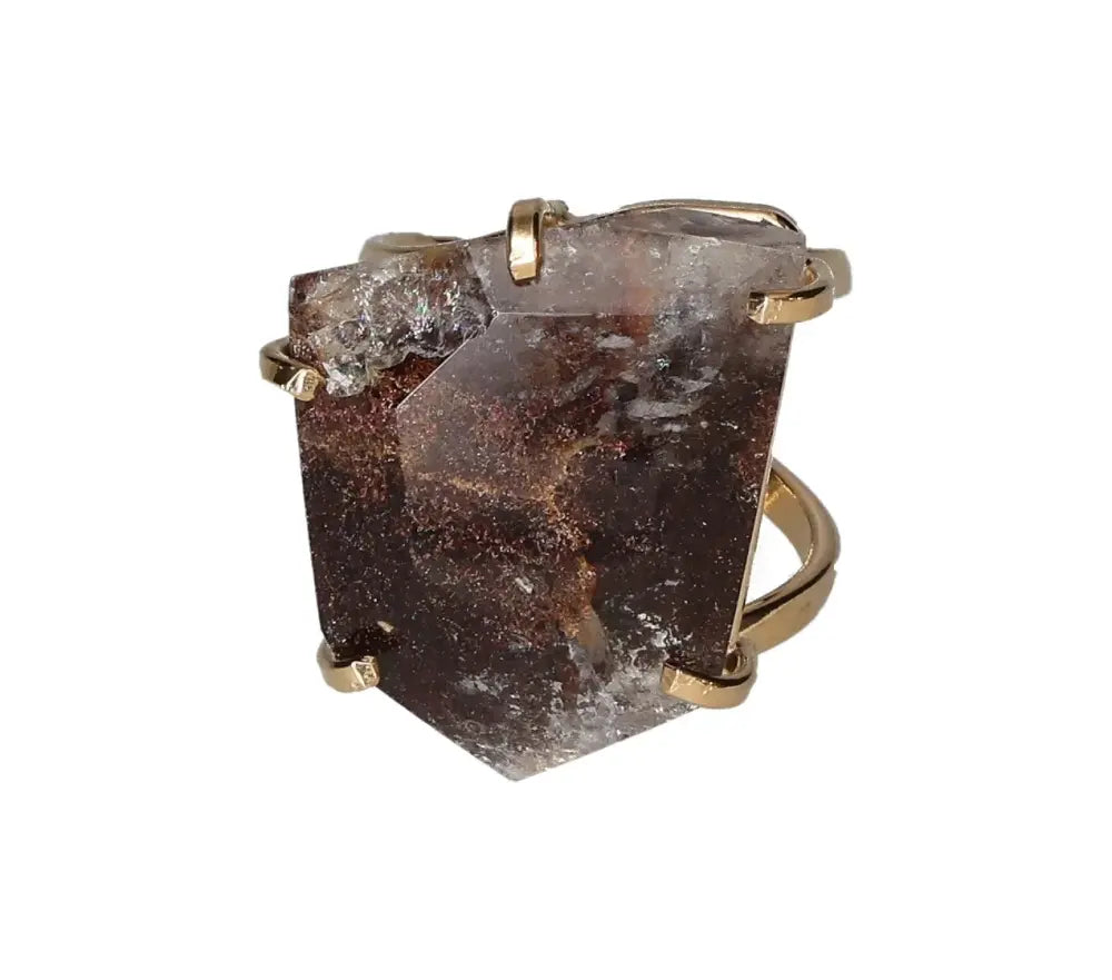 orbitvu|type:image2d