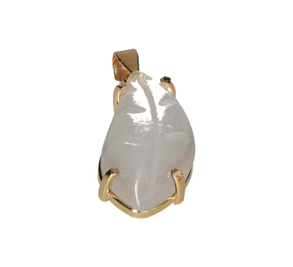 orbitvu|type:image2d