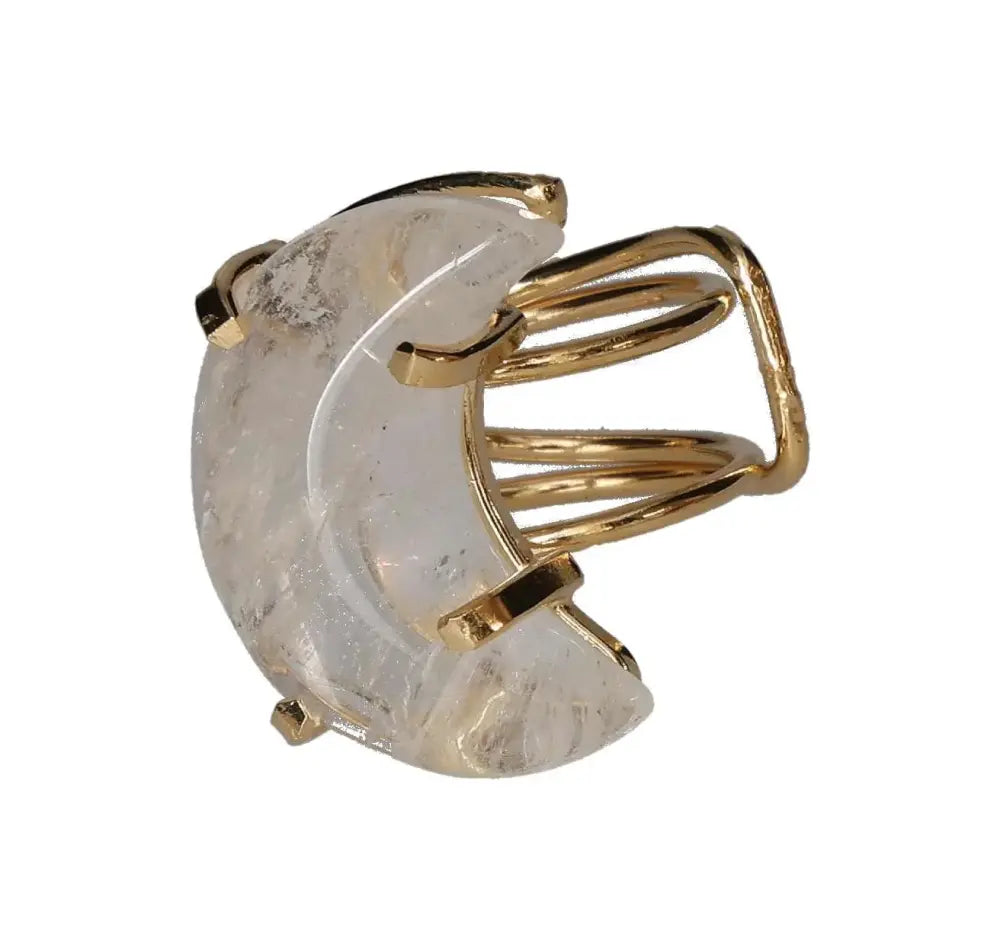 orbitvu|type:image2d