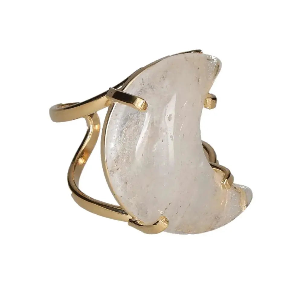 orbitvu|type:image2d