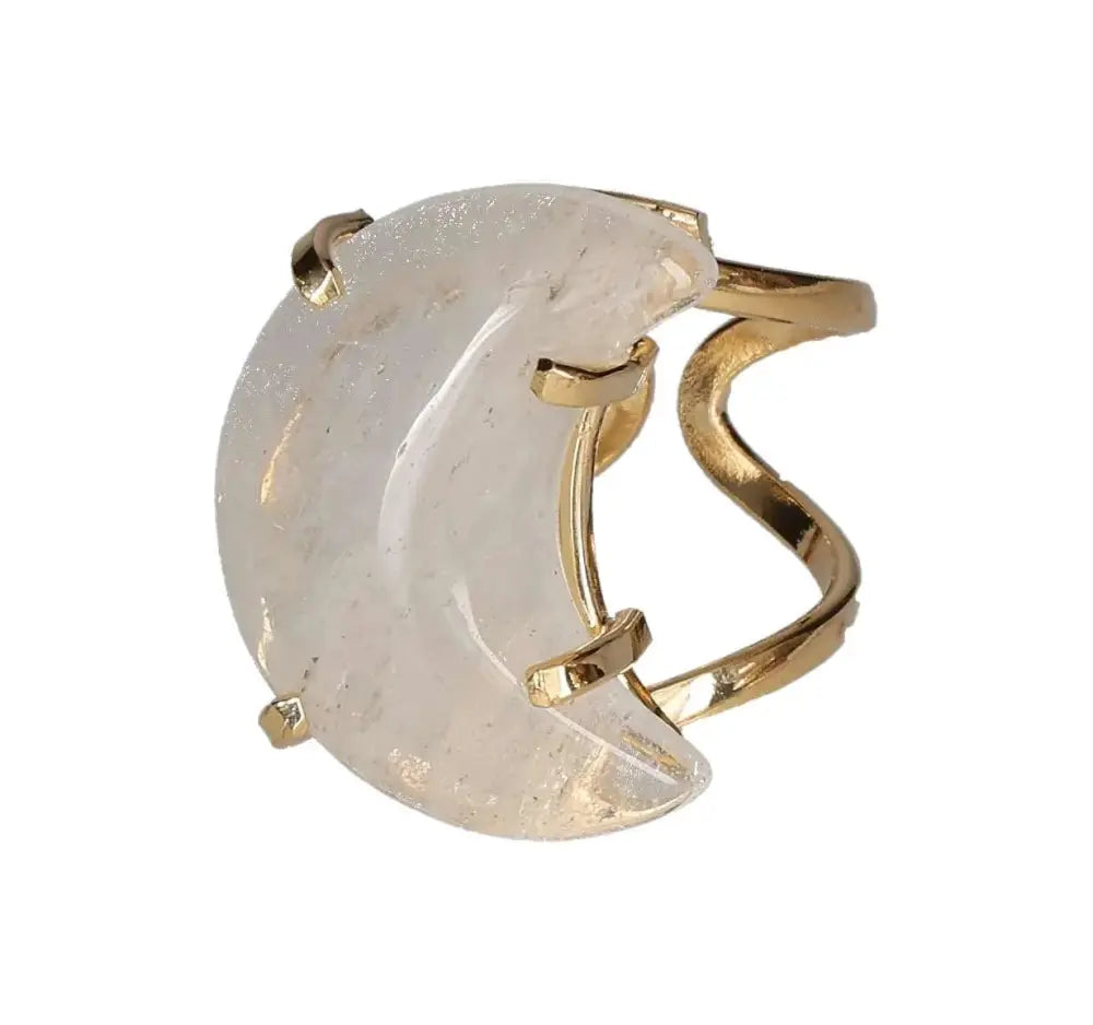 orbitvu|type:image2d