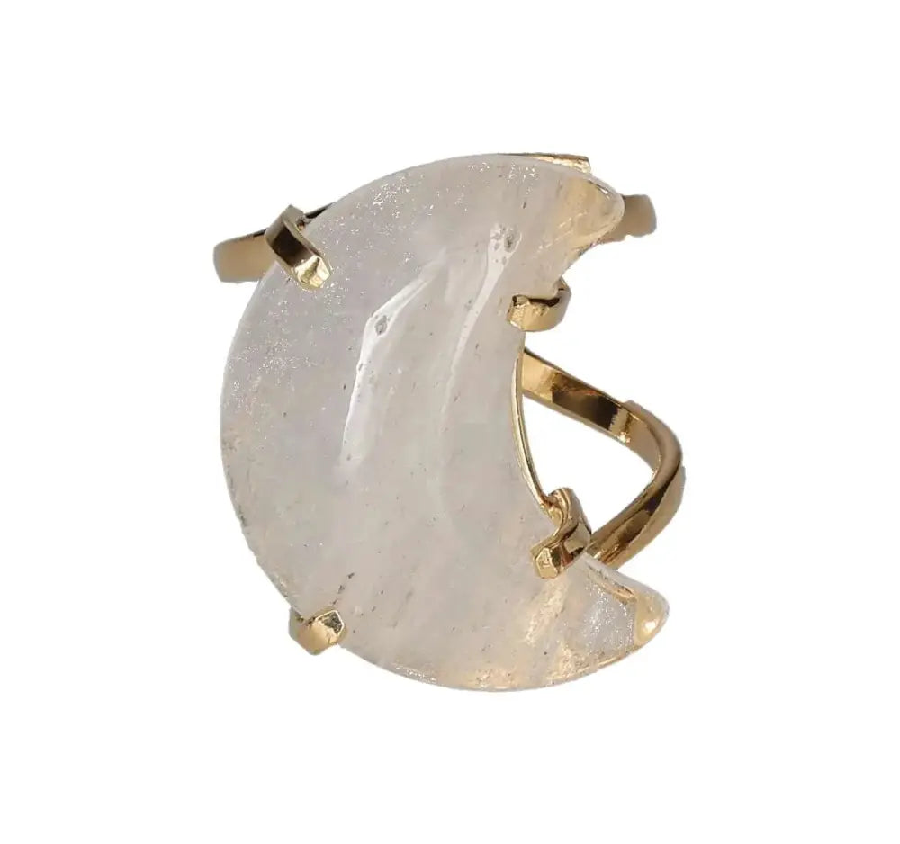 orbitvu|type:image2d