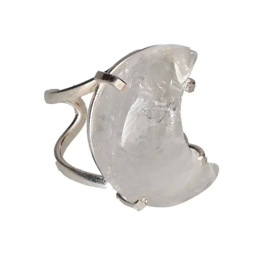 orbitvu|type:image2d