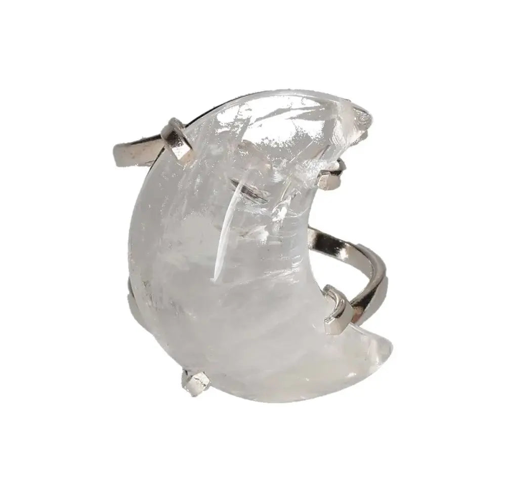 orbitvu|type:image2d