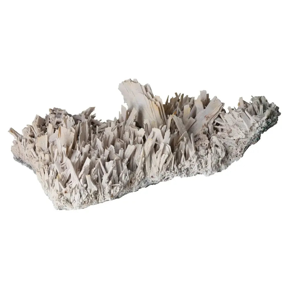 orbitvu|type:image2d