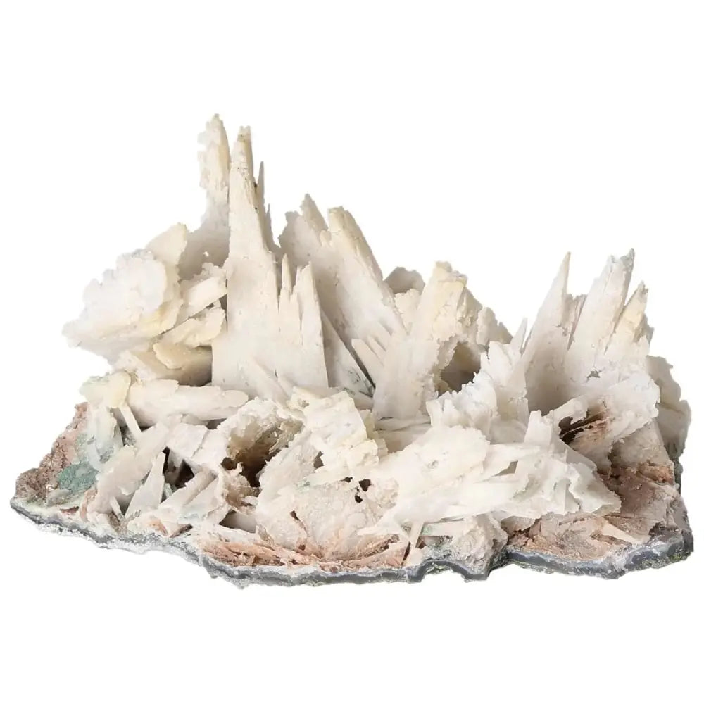 orbitvu|type:image2d