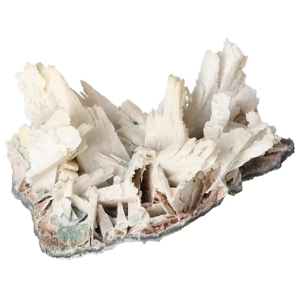 orbitvu|type:image2d