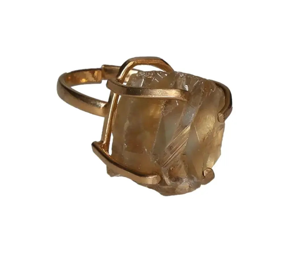 orbitvu|type:image2d