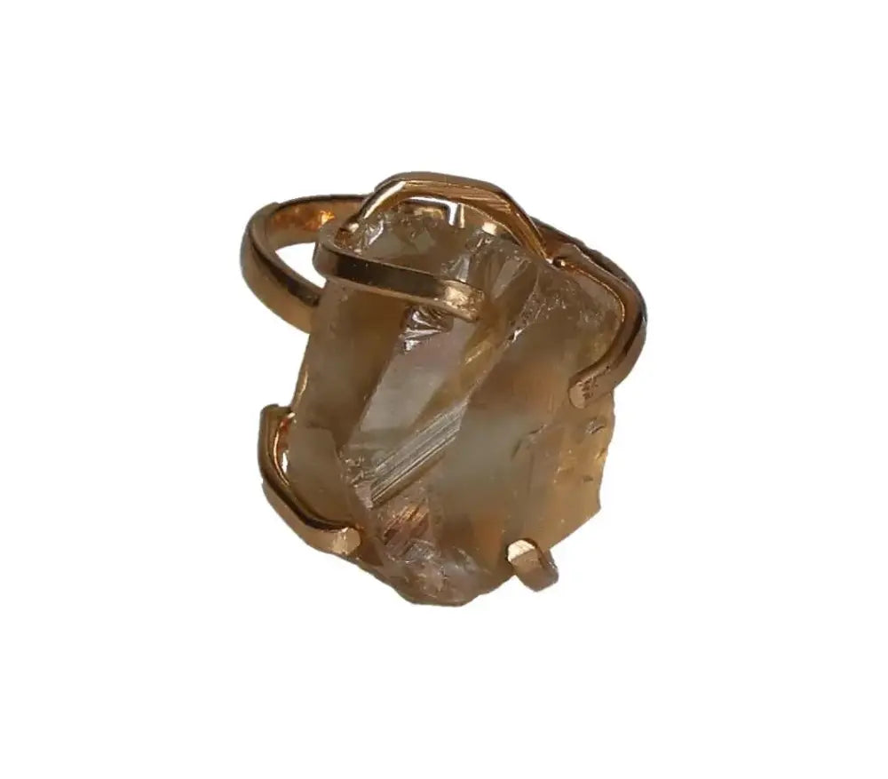 orbitvu|type:image2d