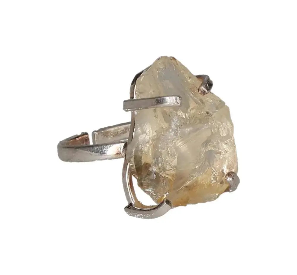 orbitvu|type:image2d