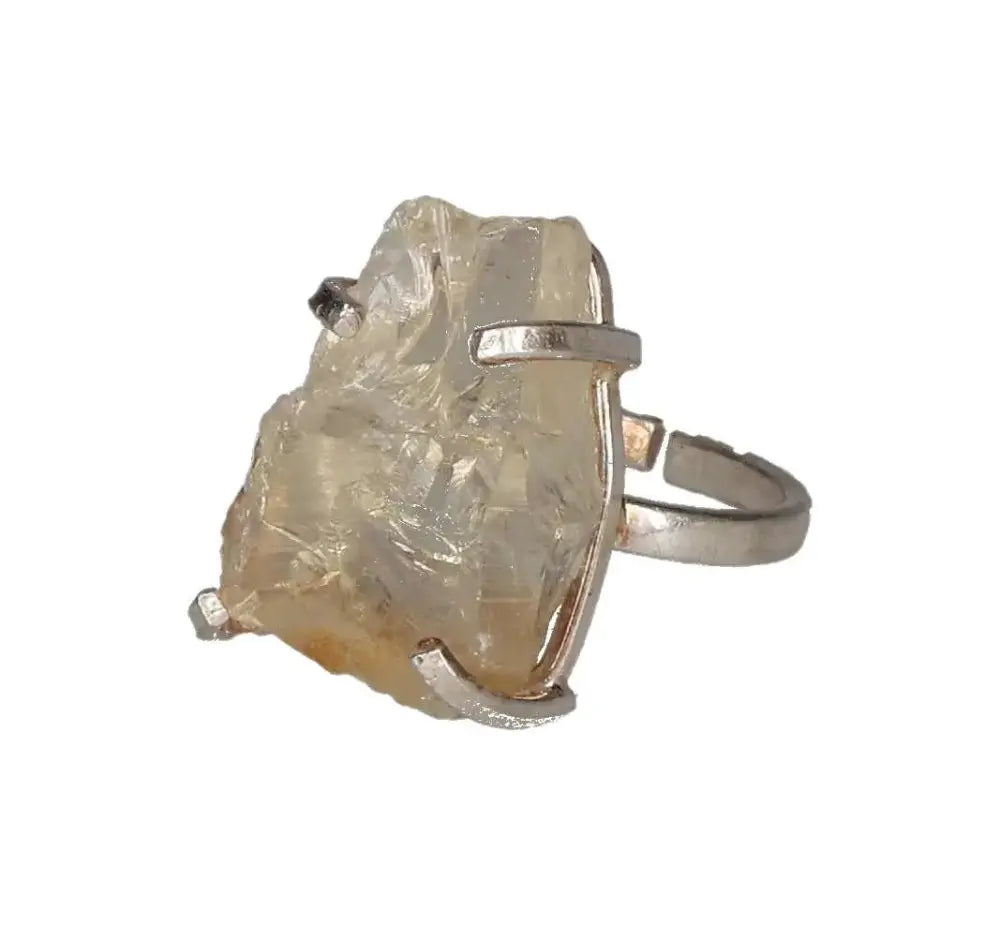 orbitvu|type:image2d