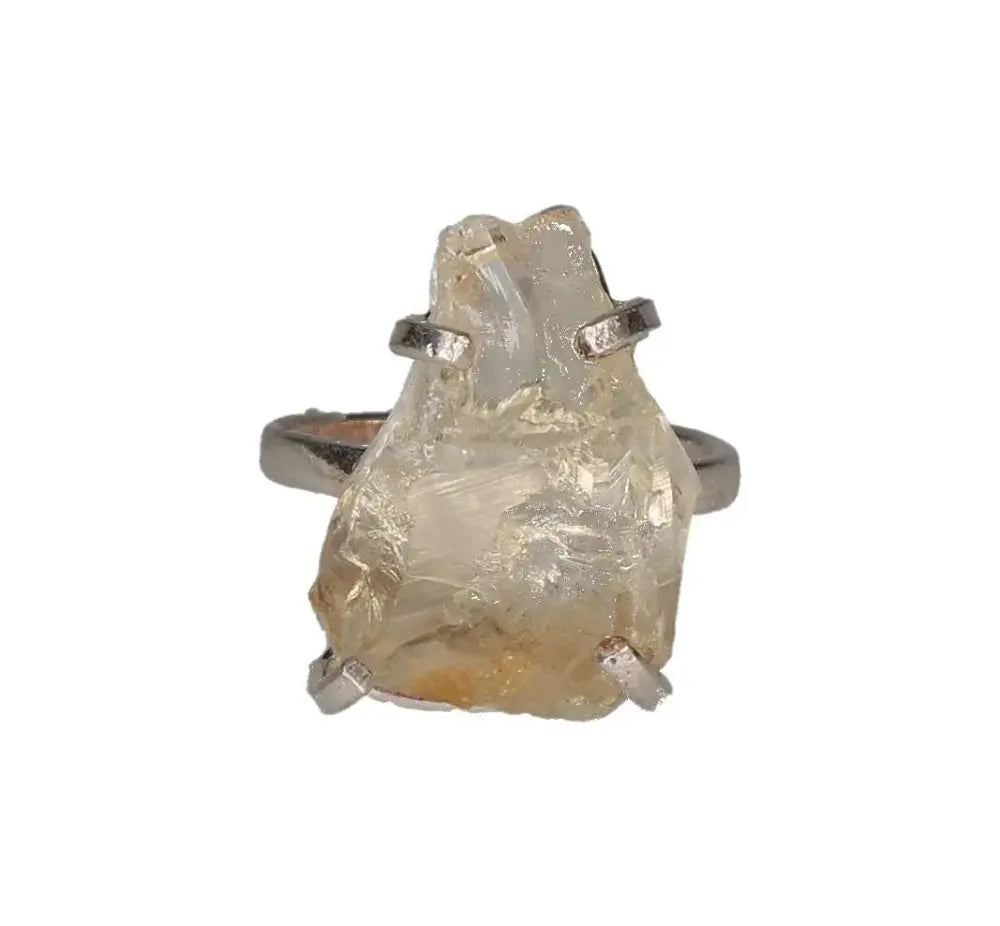 orbitvu|type:image2d