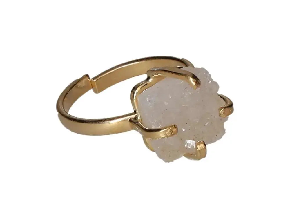 orbitvu|type:image2d