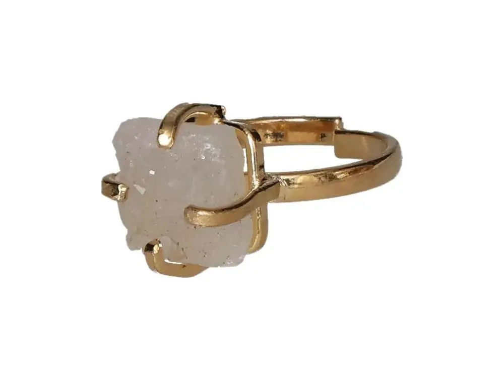 orbitvu|type:image2d