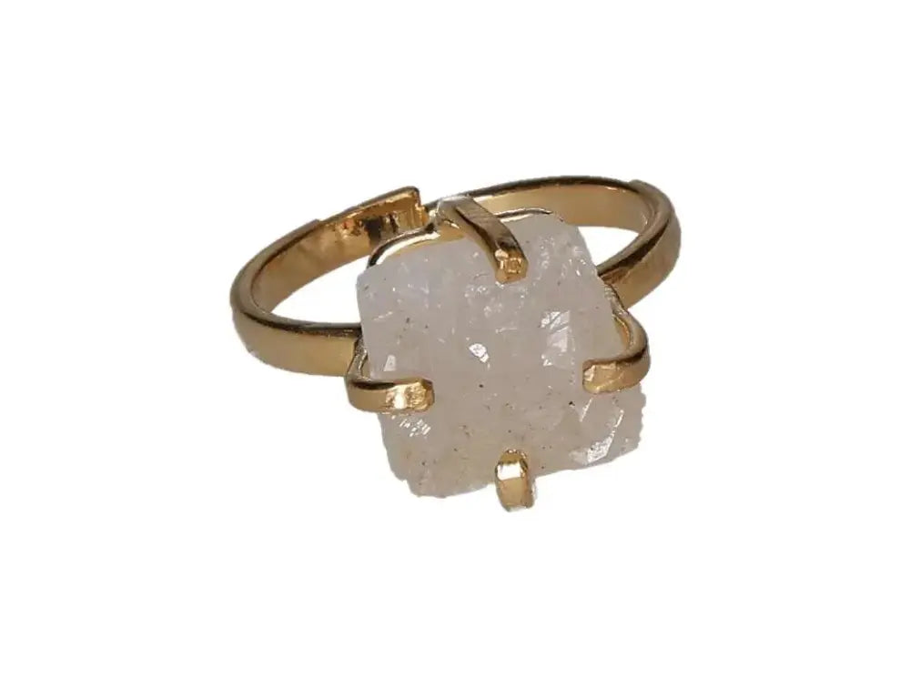 orbitvu|type:image2d