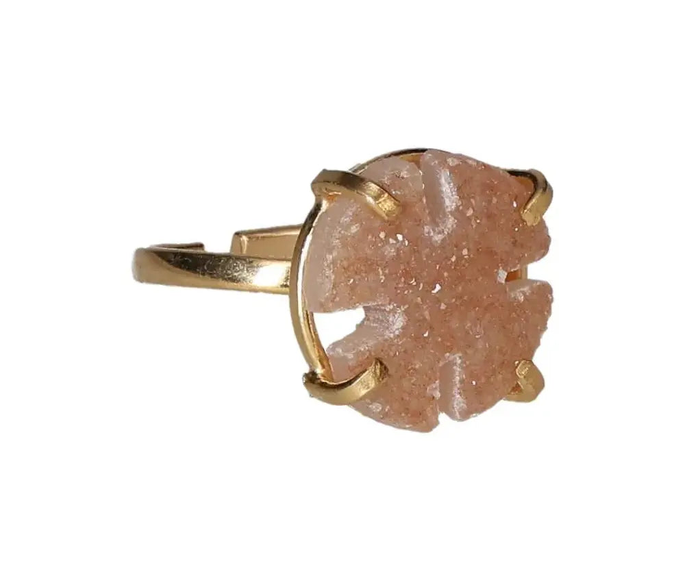 orbitvu|type:image2d