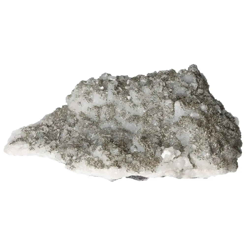 orbitvu|type:image2d