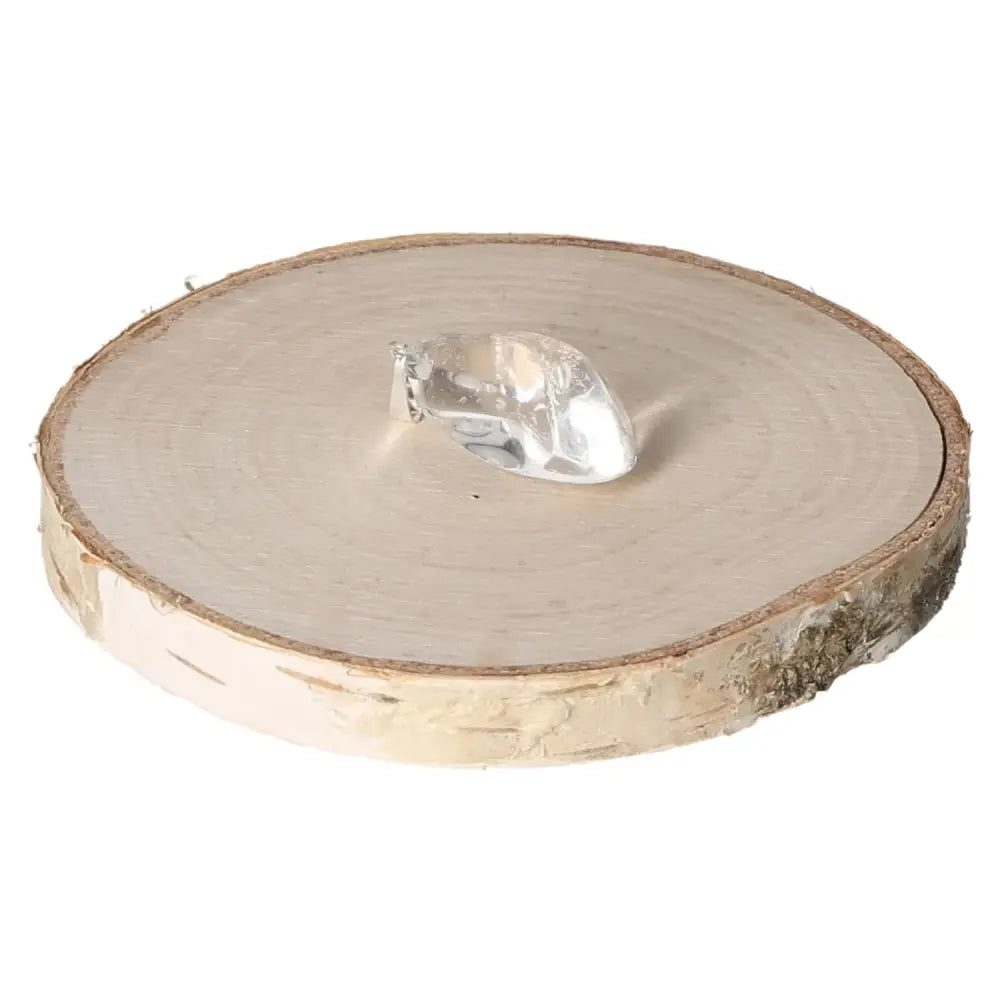 orbitvu|type:image2d