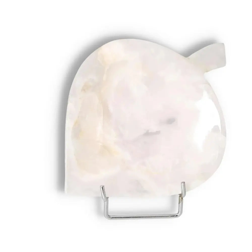 orbitvu|type:image2d