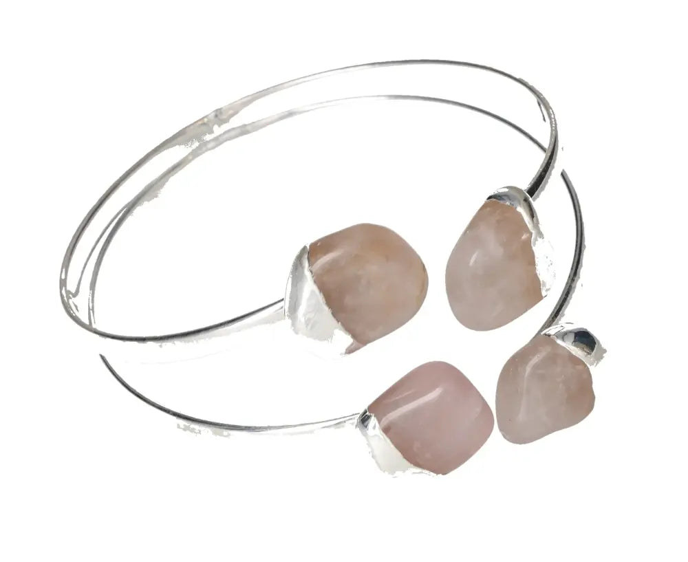 orbitvu|type:image2d