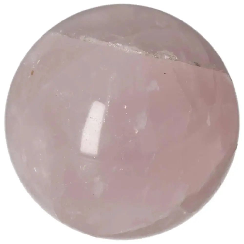 orbitvu|type:image2d