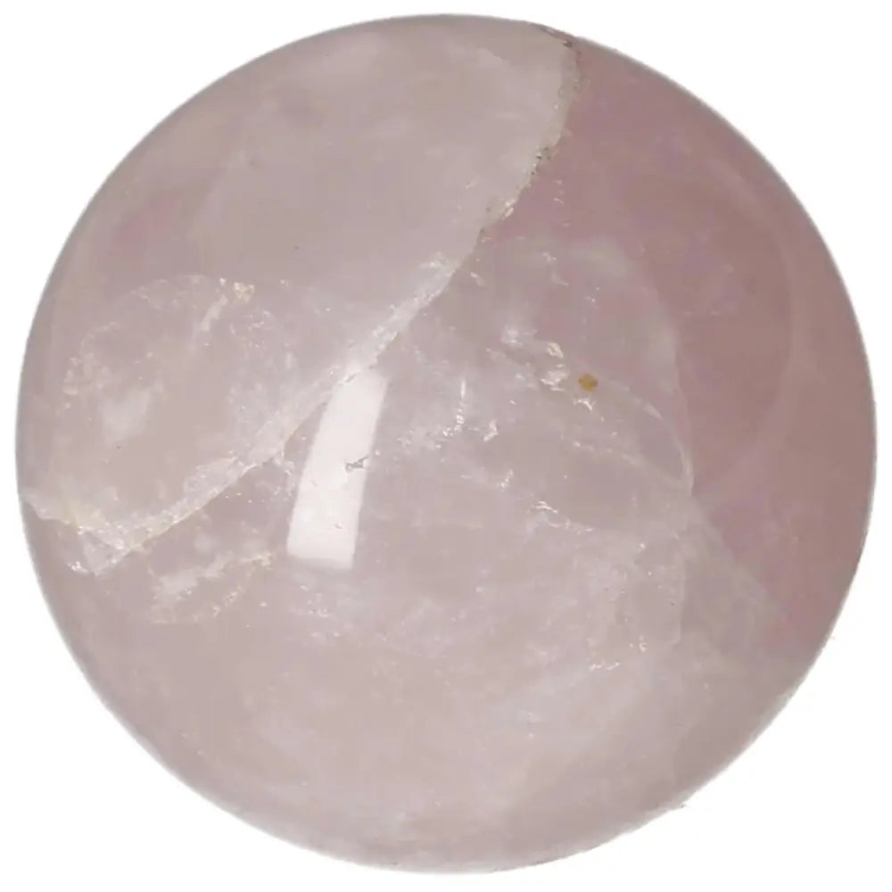 orbitvu|type:image2d