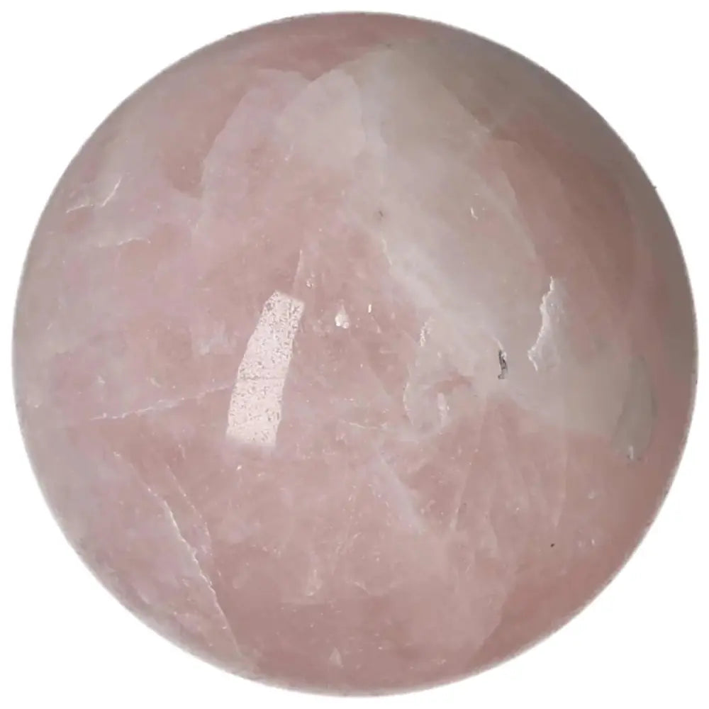 orbitvu|type:image2d