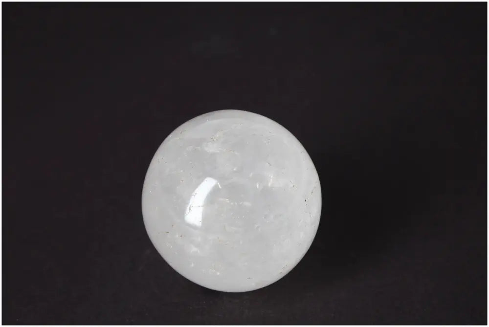 orbitvu|type:image2d