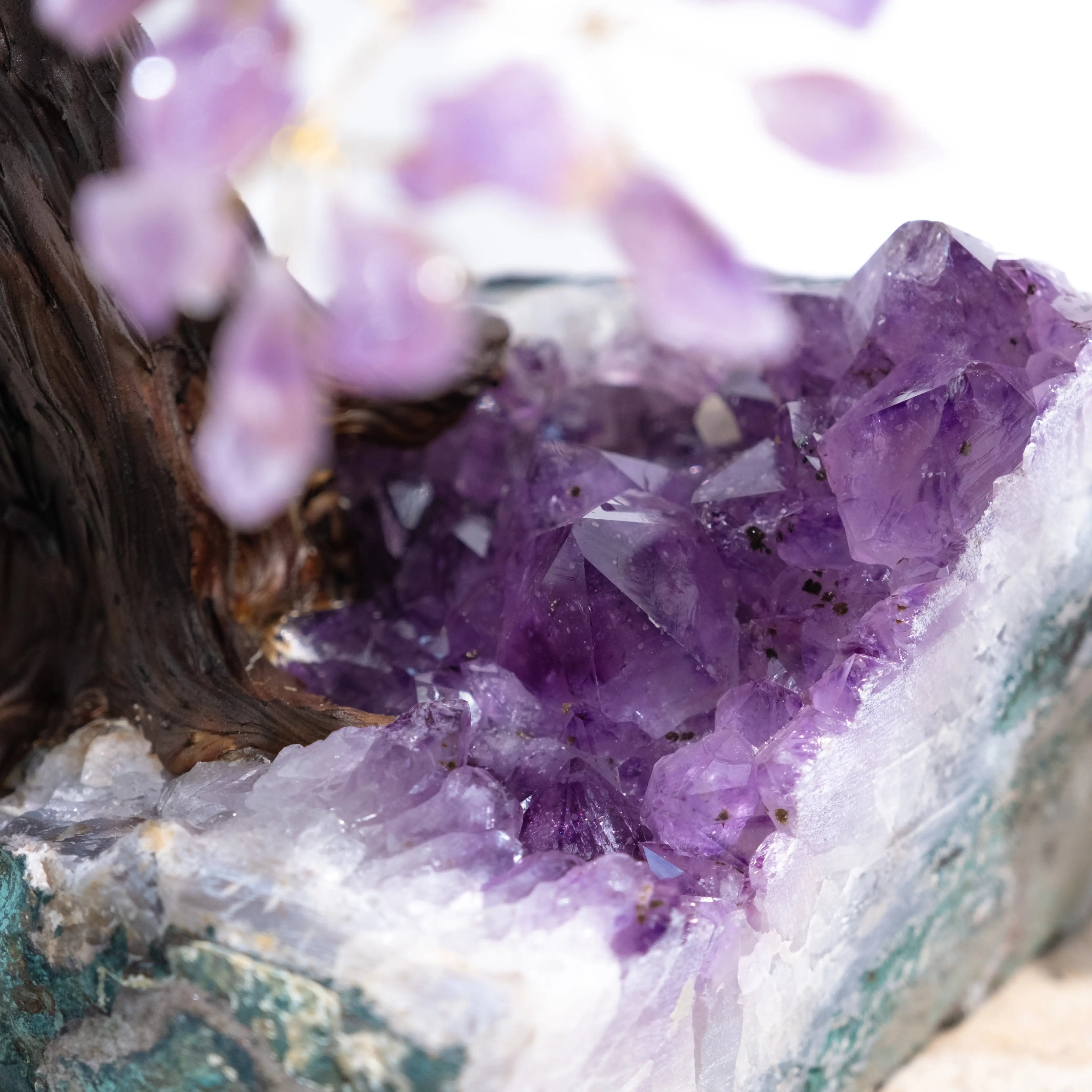 Close-up of Rough Amethyst Crystal Bonsai Tree, showcasing vibrant purple gemstone leaves and tranquil energy. Ideal for home decor.