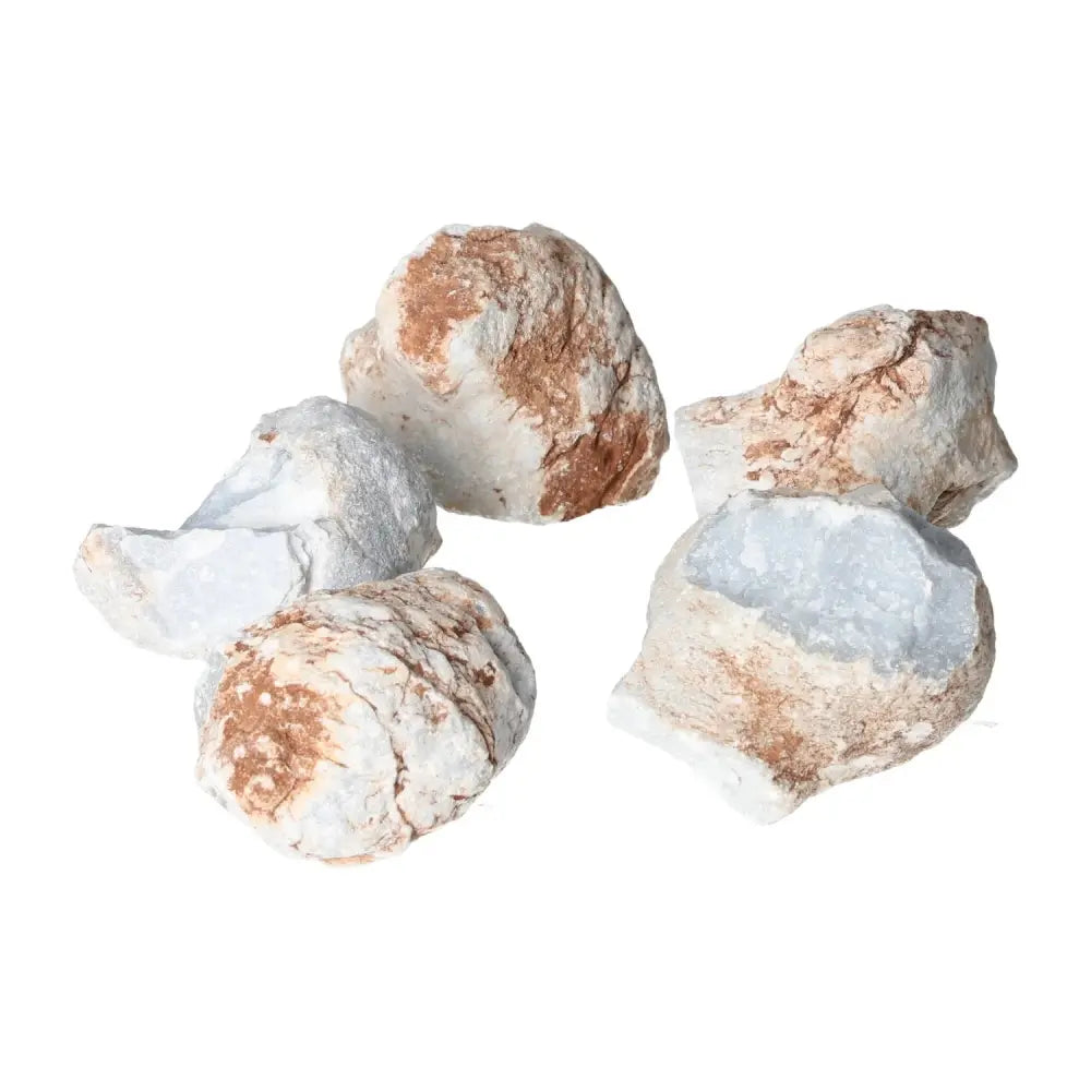 Rough Angelite S stones from Sylvia Crystals, showcasing blue and earthy tones, known for promoting tranquility and clear communication.