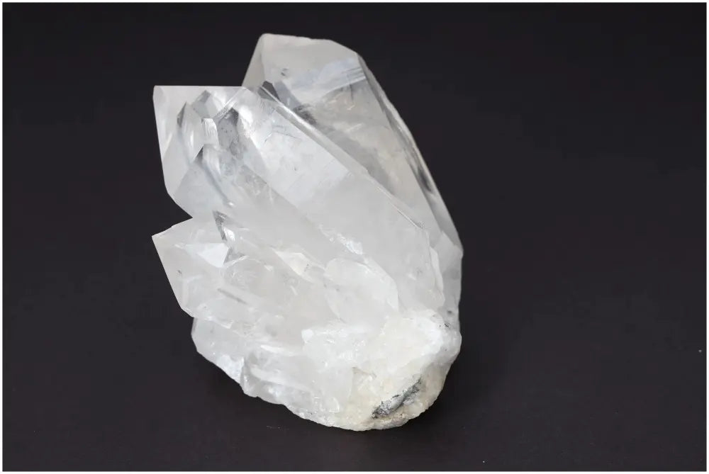 orbitvu|type:image2d