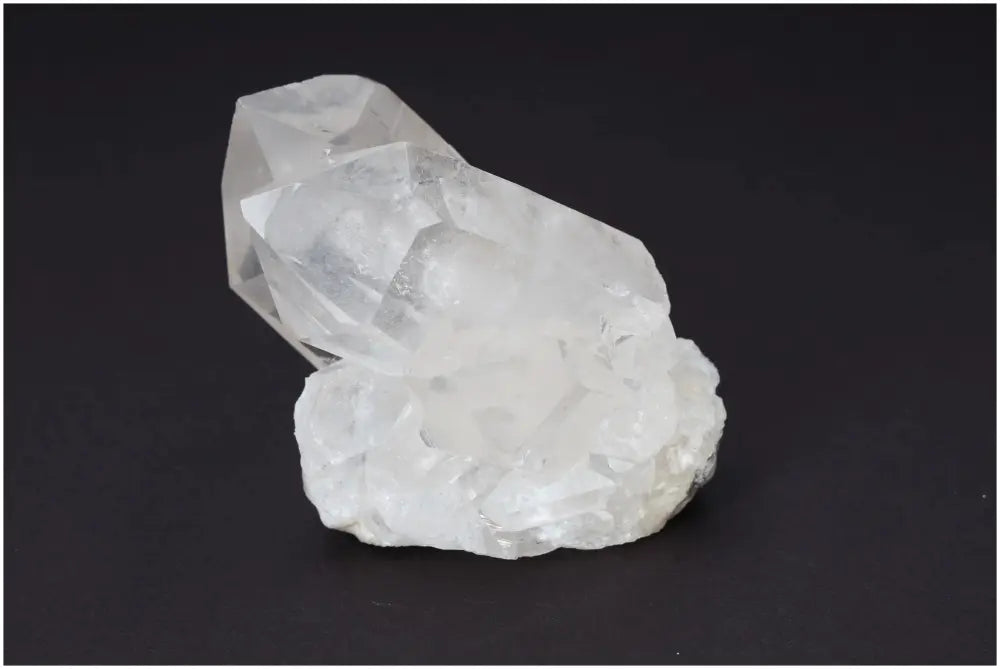 orbitvu|type:image2d