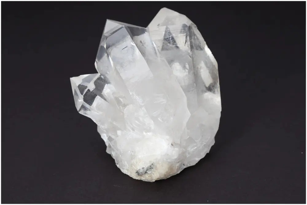 orbitvu|type:image2d