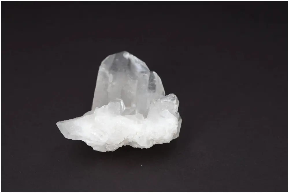 orbitvu|type:image2d