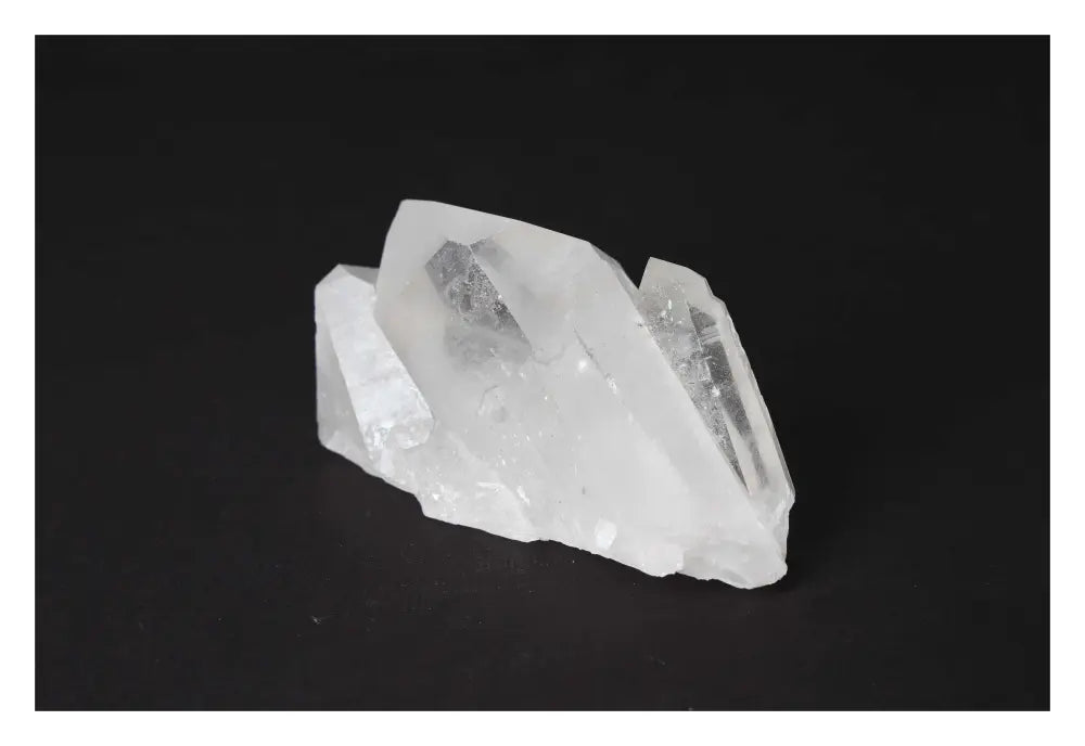 orbitvu|type:image2d