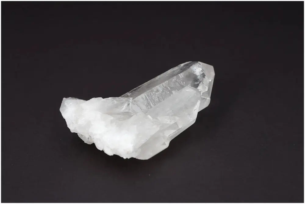 orbitvu|type:image2d