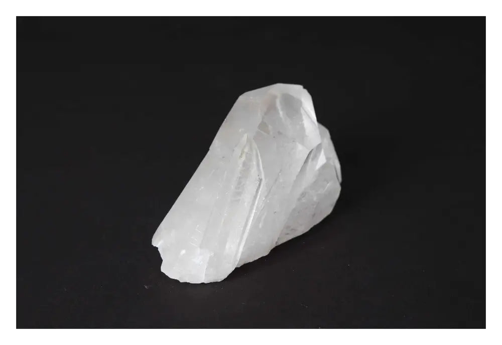 orbitvu|type:image2d