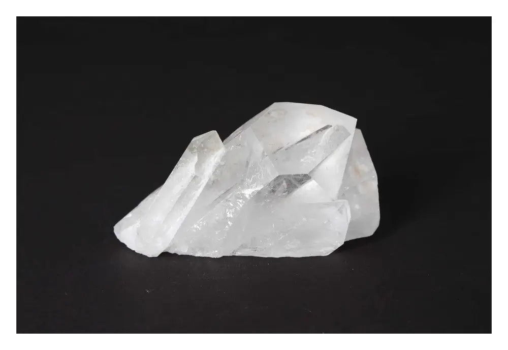 orbitvu|type:image2d