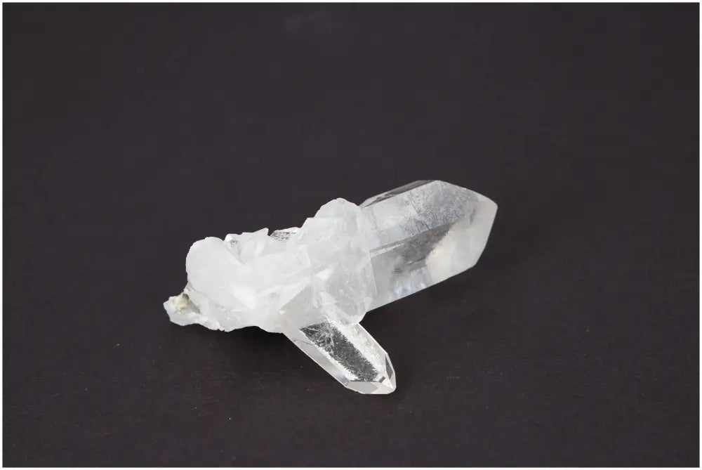 orbitvu|type:image2d