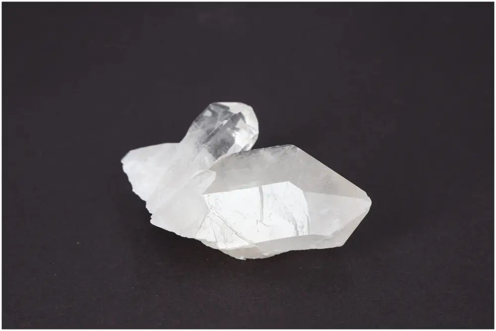 orbitvu|type:image2d