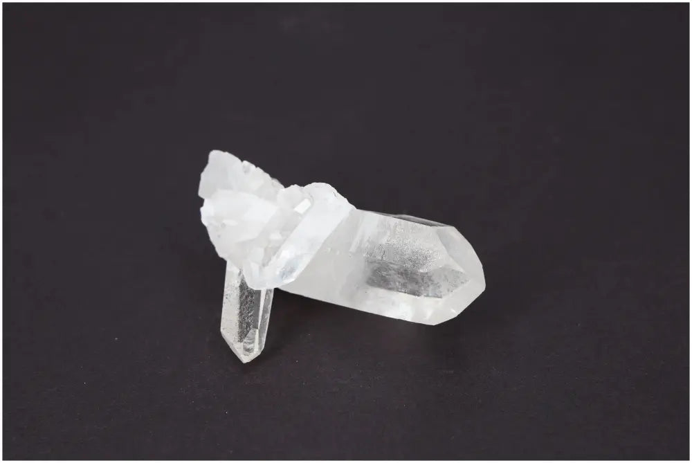 orbitvu|type:image2d