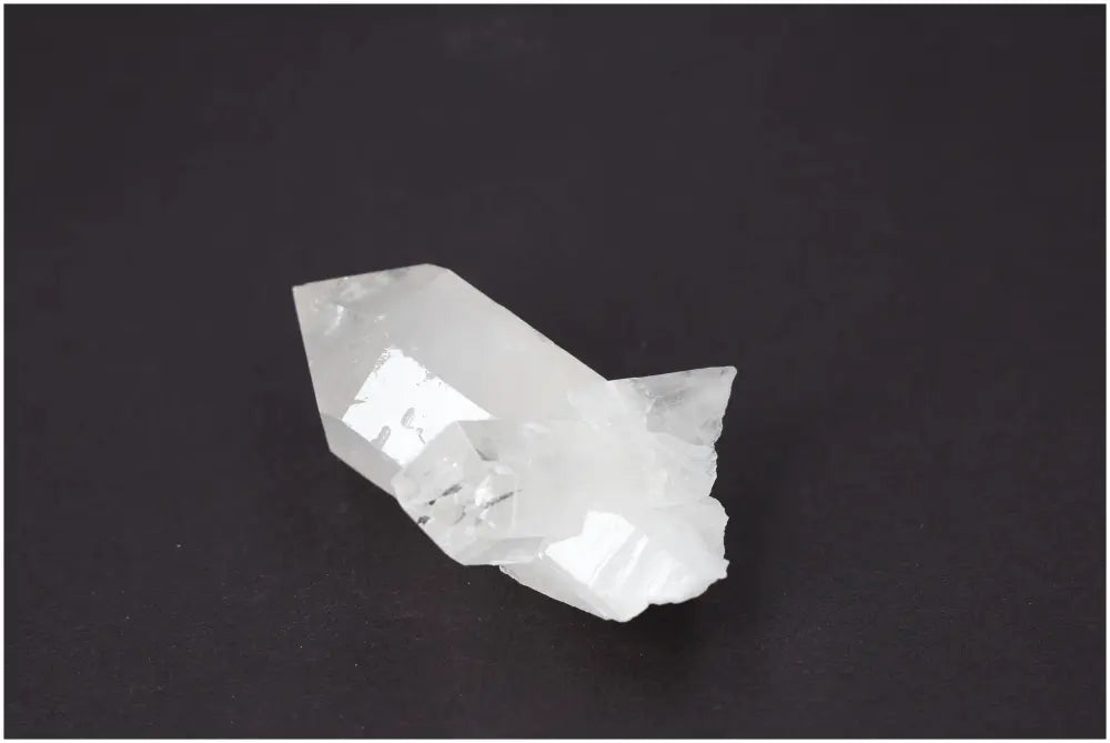 orbitvu|type:image2d