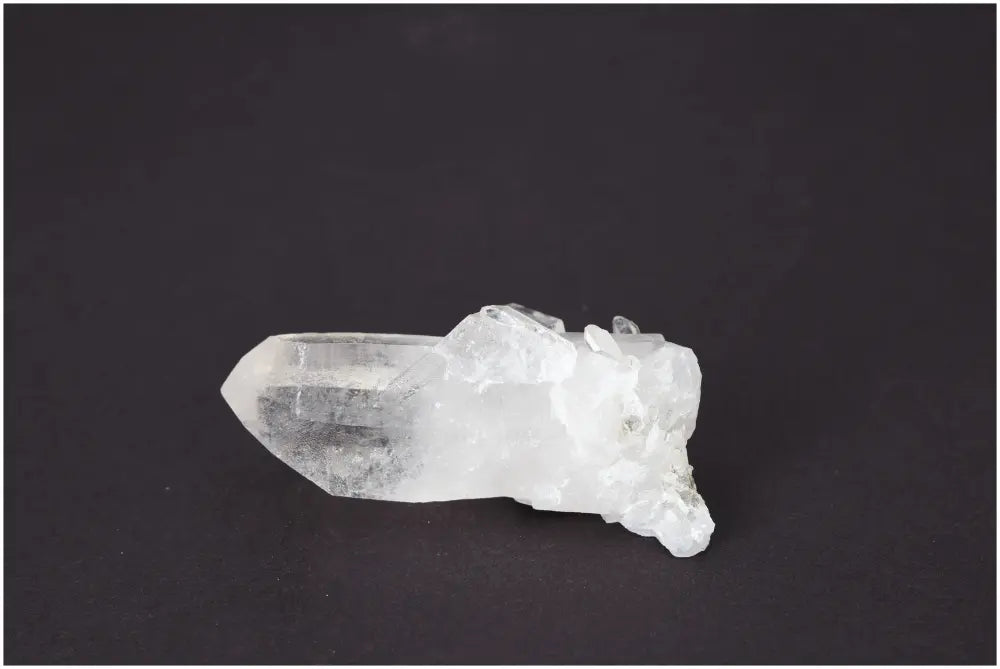 orbitvu|type:image2d