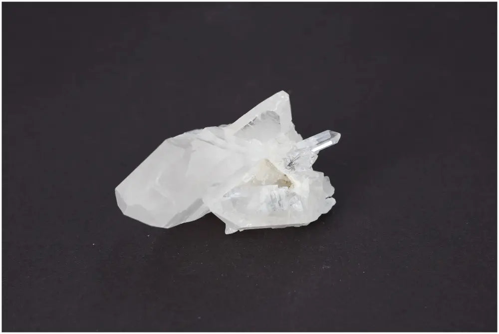 orbitvu|type:image2d