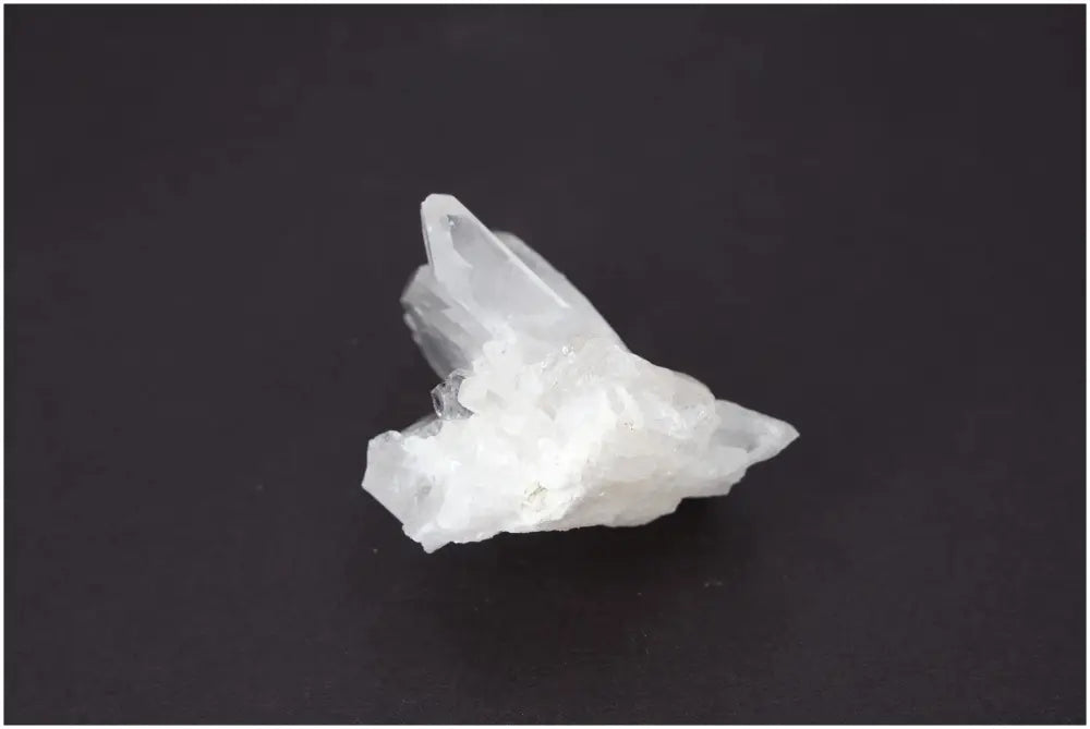 orbitvu|type:image2d